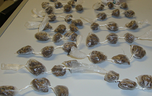 Força Tática prende cidadão com maconha na cueca