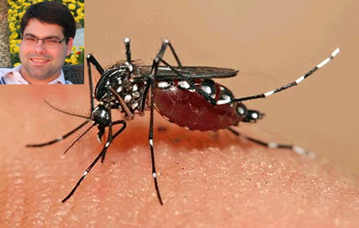 Especialista diz que previsão sobre zika vírus é preocupante