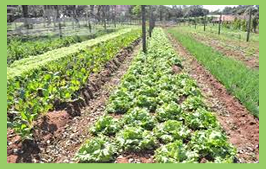 FCA ministra curso para internos da Fundação CASA