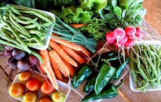 Agricultores da região de Avaré tem vendas superiores a R$ 500 mil