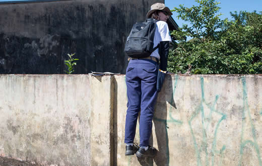 Dengue: Mais 4 casos são confirmados em Botucatu; Saúde faz bloqueios contra o mosquito