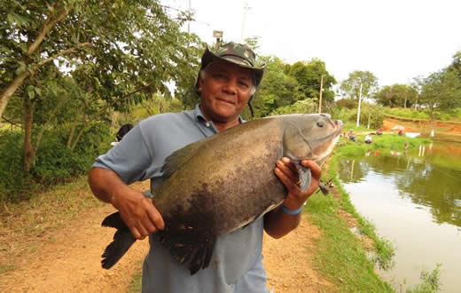 Funcionário Público Municipal morre após atropelamento em Botucatu; ATFPMB emite nota de pesar