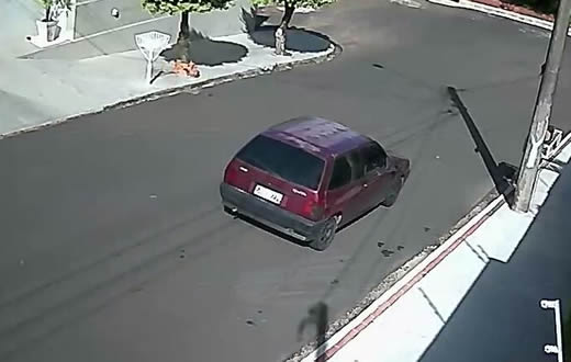 Ladrão invade casa e leva cofre, joias e até o cachorro de raça da família