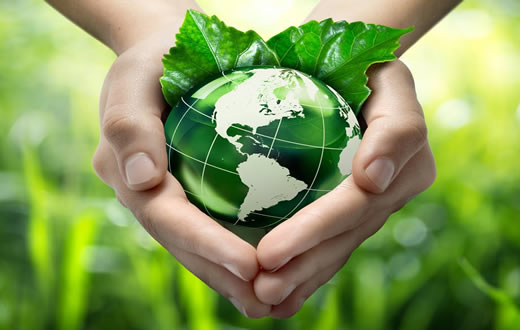 FMB e HC promovem Semana do Meio Ambiente e Saúde