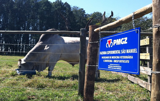 FMVZ/Unesp leiloa equinos e bovinos