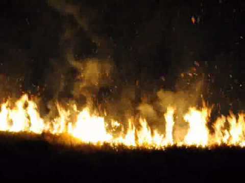 Bombeiros combatem incêndio de grandes proporções no Bairro