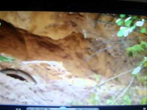 Homem é engolido por desmoronamento no Rio Tanquinho