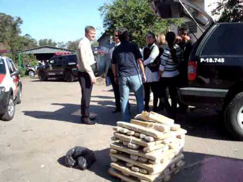 Polícia Civil  incinera 173 quilos de cocaína e 240 de maconha