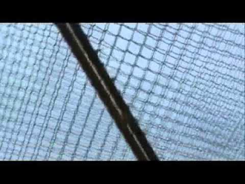 Presos arrancam janela da cadeia para tentar a fuga