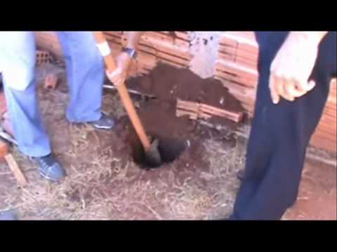 Usando cão, DISE apreende cocaína crack e maconha