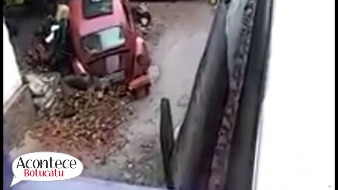 Vídeo de cão sendo espancado em Bofete gera comoção em internautas