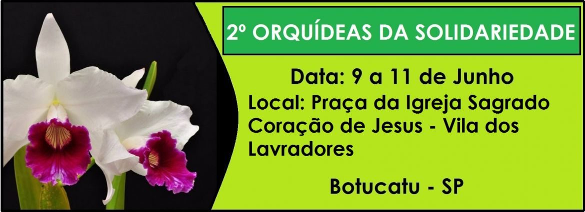 2º Orquídeas da Solidariedade