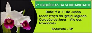 2º Orquídeas da Solidariedade