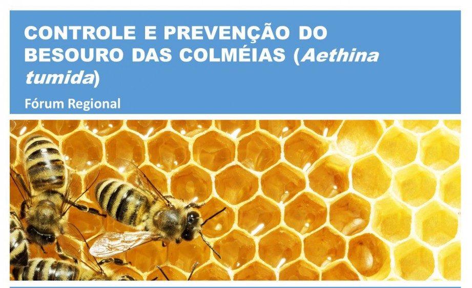 Botucatu promove Fórum Regional sobre Controle e Prevenção do Besouro das Colmeias