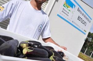Banco de Alimentos entrega selo de colaborador Amigo - foto Andreia Seullner  (13)