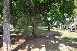 Praça Isabel Arruda -  Foto Cesar Culiche (4)