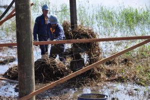 Revitalização Orla Rio Bonito - Foto Cesar Culiche (4)