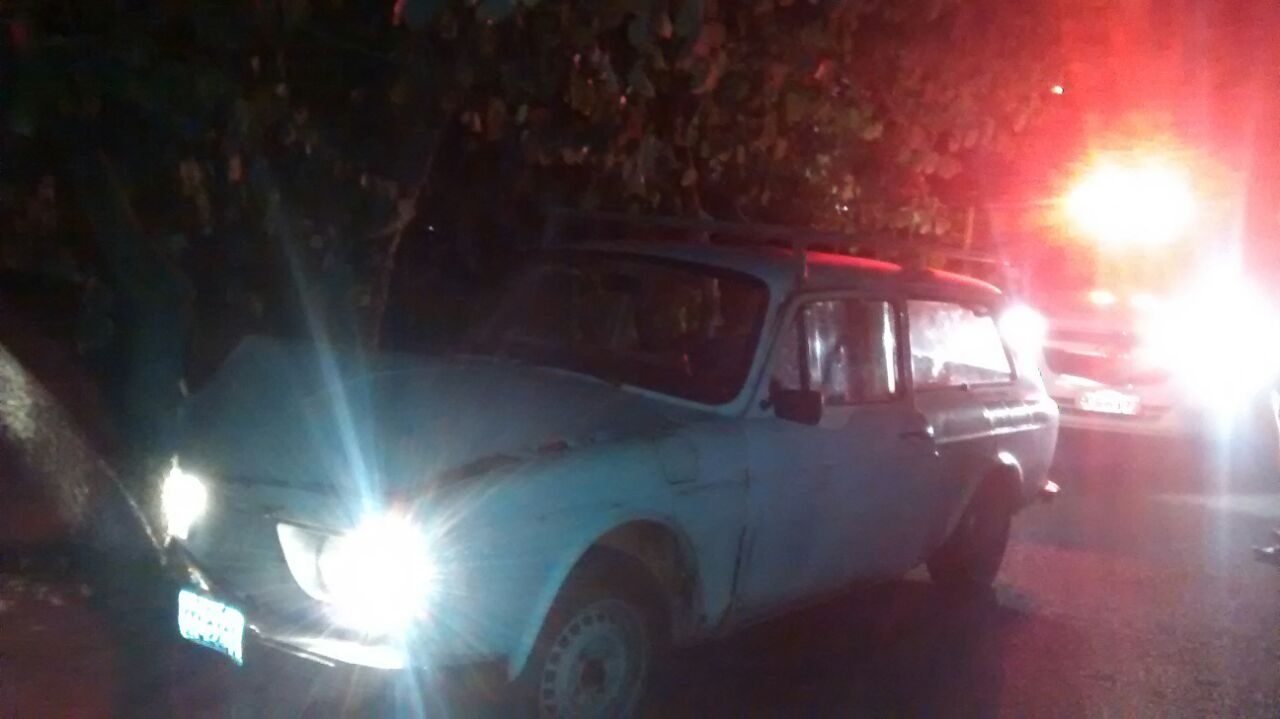 embriaguez-arvore (1)