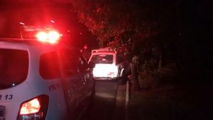 embriaguez-arvore (2)