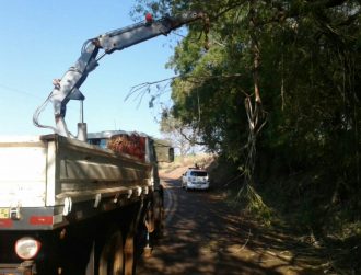 GCM registra galhos de árvore causando risco em Estrada Vicinal (1)