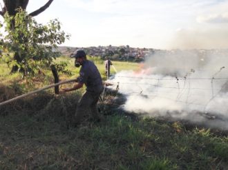 Brigada Municipal irá ajudar Bombeiros no combate