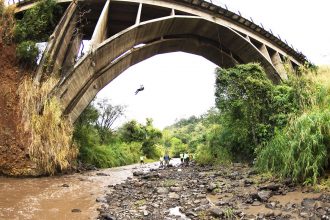 Botucatu domina pódio do Haka Race - foto divulgação (Custom)