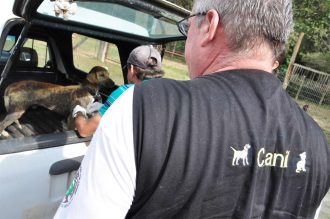 CANIL MUNICIPAL - FOTO ARQUIVO (18) (Custom)