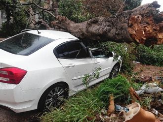 Estragos da chuva e vento do dia 15/08/2016. Árvore cai em cima de carro na Rua Francisco do Rego Carranca, quadra 2, no Jd. Vânia Maria