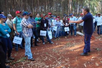 dinamica-corte-site.jpg1