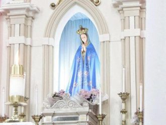festa-aparecida-sao-manuel (1)