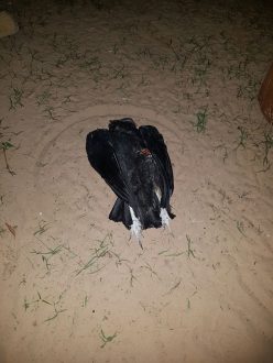 2016-09-30-photo-00001127