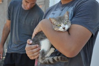 campanha-de-vacinacao-antirrabica-foto-carlos-pessoa-2