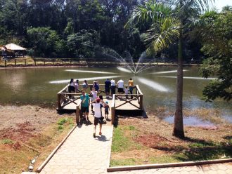 feira-do-verde-foto-perseu-mariani