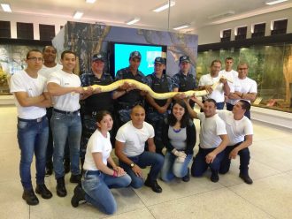 gcm-passa-por-treinamento-no-cevap-foto-gcm-1