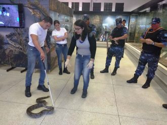 gcm-passa-por-treinamento-no-cevap-foto-gcm-2