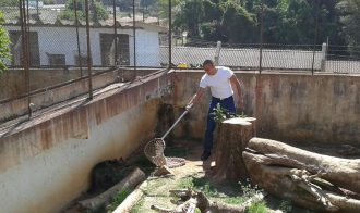 gcm-realiza-treinamento-no-cempas-4