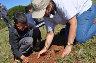 plantio-de-arvore-em-area-verde-na-vila-paulista-foto-igor-medeiros-30-custom