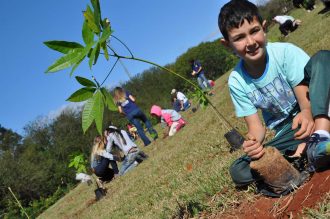 plantio-de-arvore-em-area-verde-na-vila-paulista-foto-igor-medeiros-37-custom