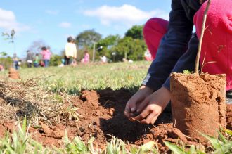 plantio-de-arvore-em-area-verde-na-vila-paulista-foto-igor-medeiros-53-custom