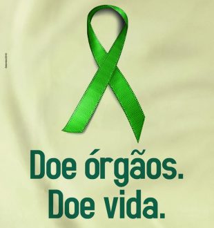 primeirafoto setembro-verde