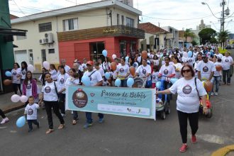 passeio-dos-bebes-2015-foto-arquivo-andreia-seullner-custom