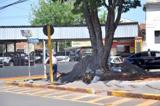 praca-levy-de-almeida-foto-carlos-pessoa-5