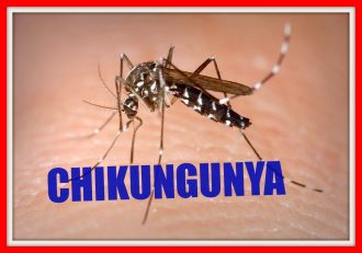 chikungunya