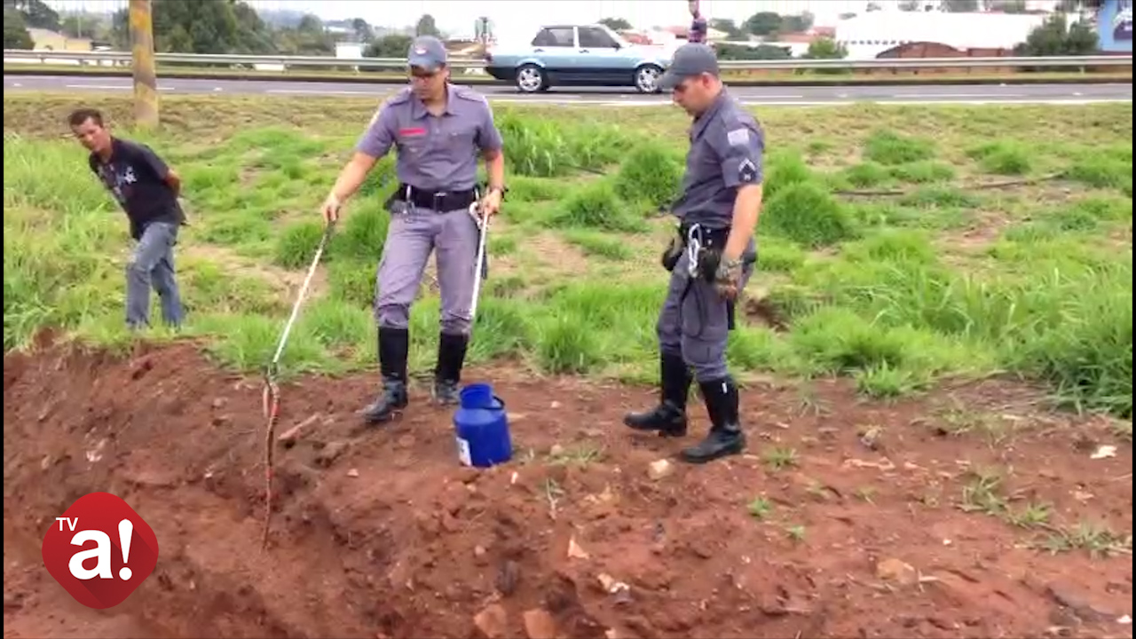 Bombeiros resgatam cobra em construção de praça na Vila Assunção; veja vídeo