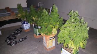 4532df4f-dcc6-4cae-9fe9-d86cfa3f1e2a