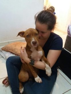 70640946-772b-4198-ab0f-9e3b10023565