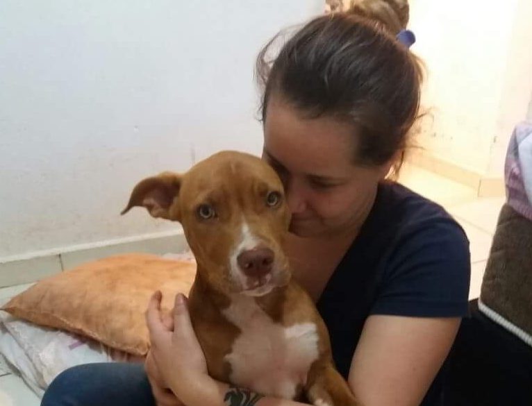 Pet: Vamos ajudar a encontrar a Lucy?