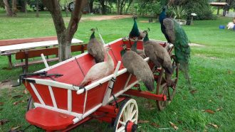 estancia-jacutinga-foto-divulgacao