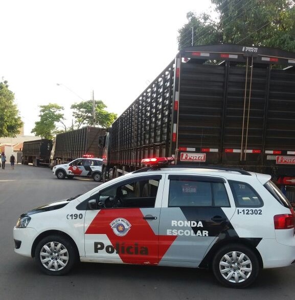 Polícia Militar prende ladrões de gado em Conchas; animais foram recuperados