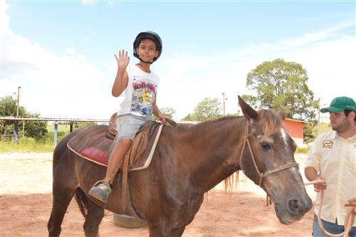 Projeto de equoterapia auxilia alunos com dificuldade de aprendizagem